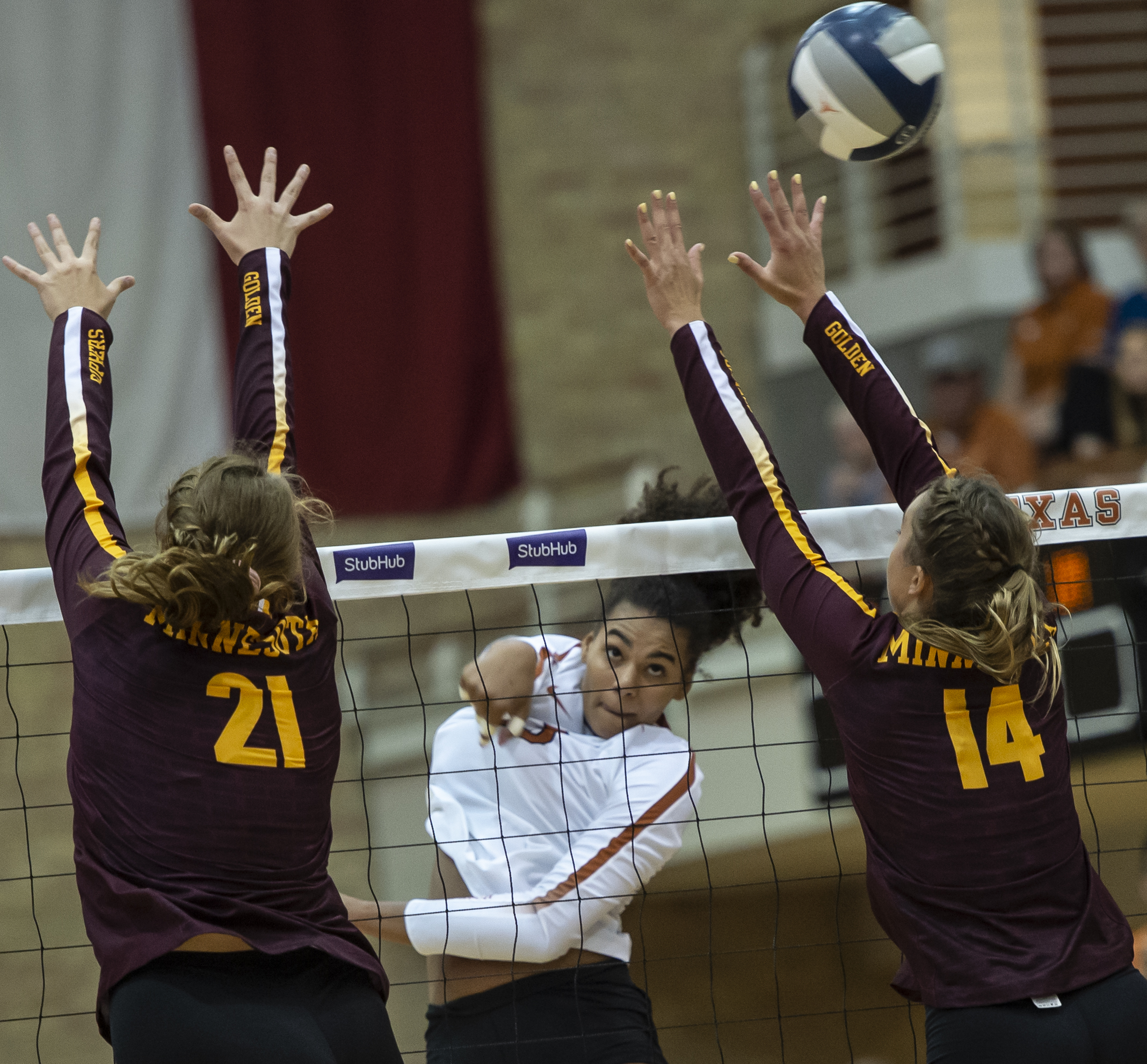 Photo Gallery UT Volleyball tops Minnesota 30 by